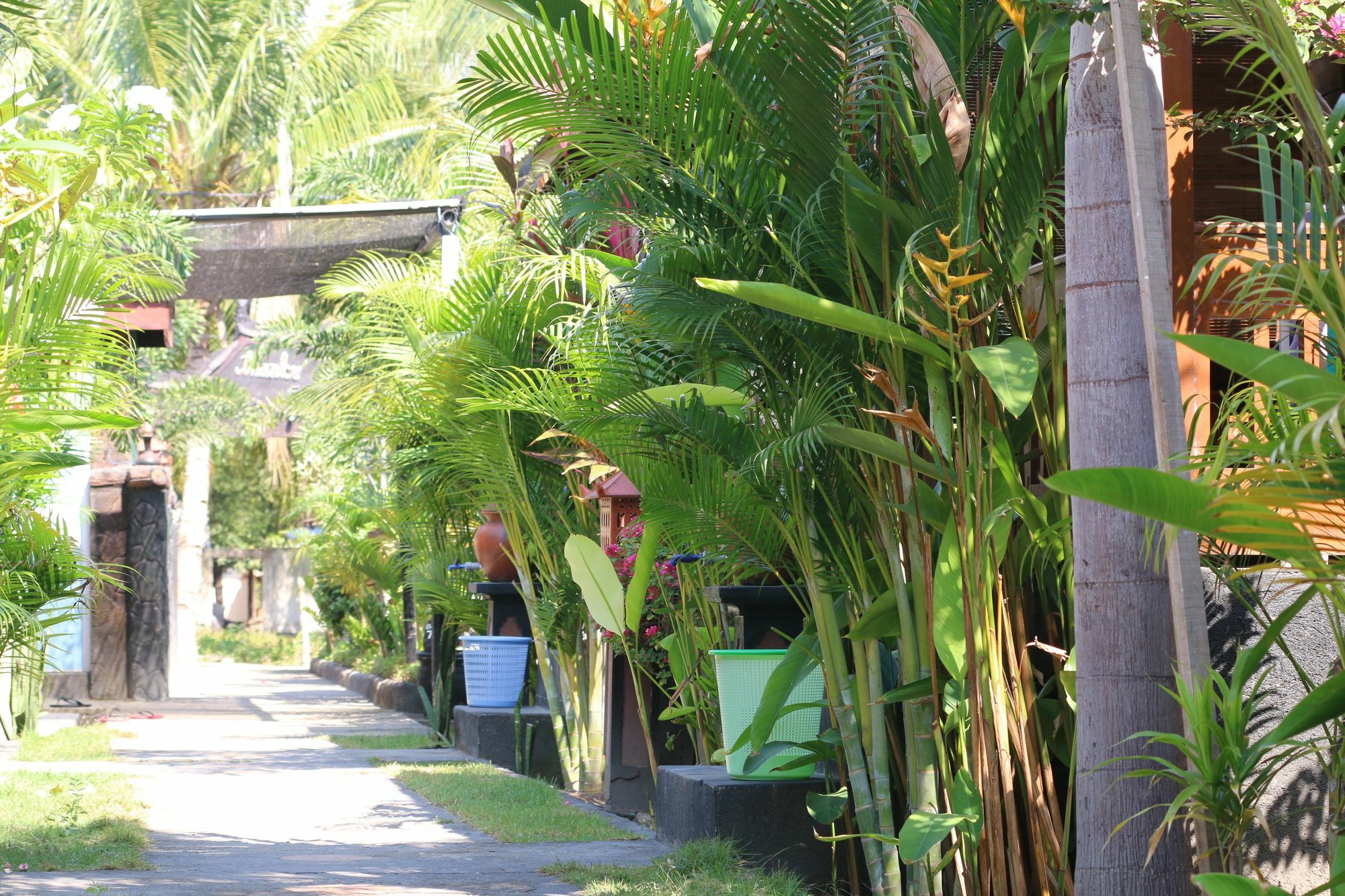 Color Cottage Gili Islands Exterior photo